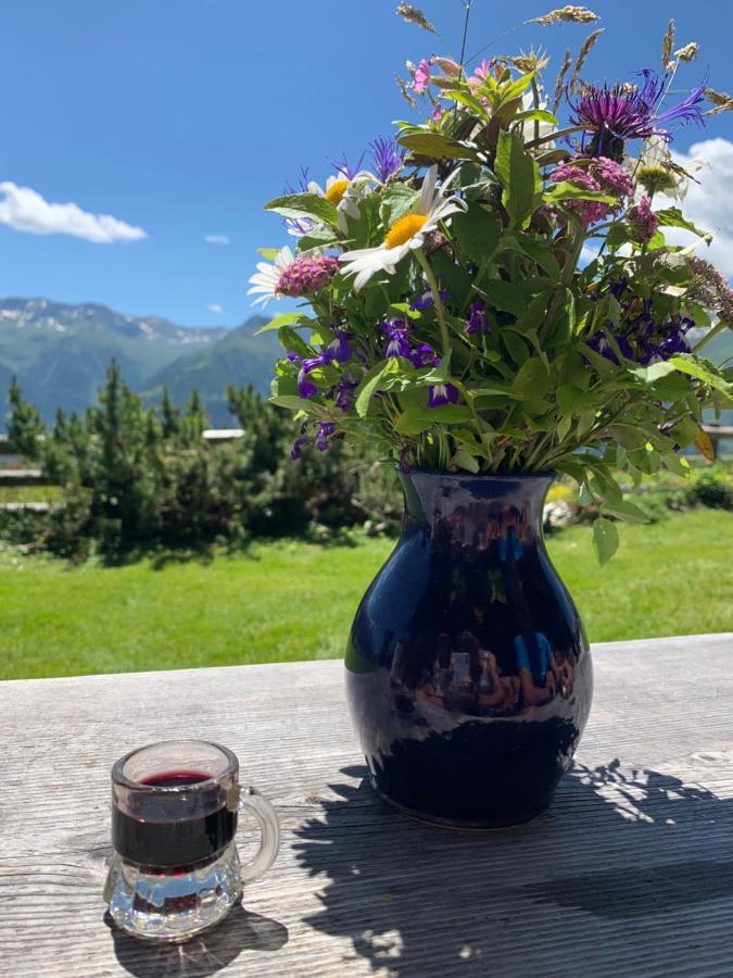 Haus Helga Daire Lienz Dış mekan fotoğraf